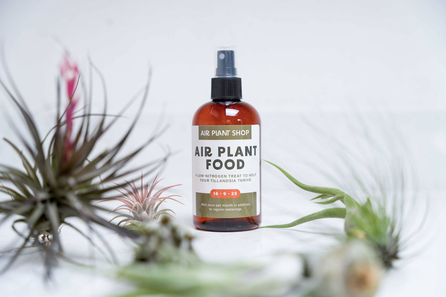 Tillandsia Air Plant Fertilizer
