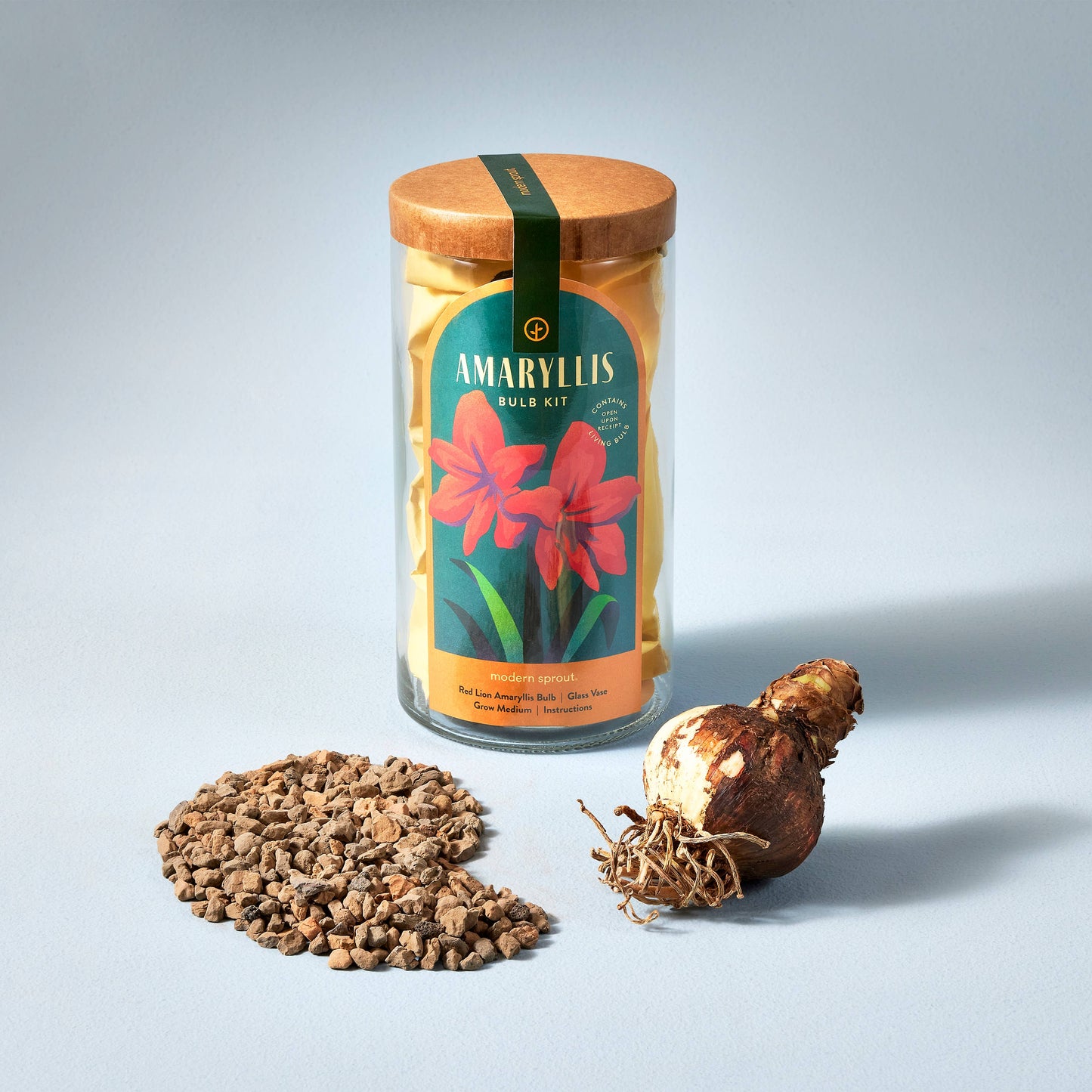 Winter Bulb Kit: Paperwhites