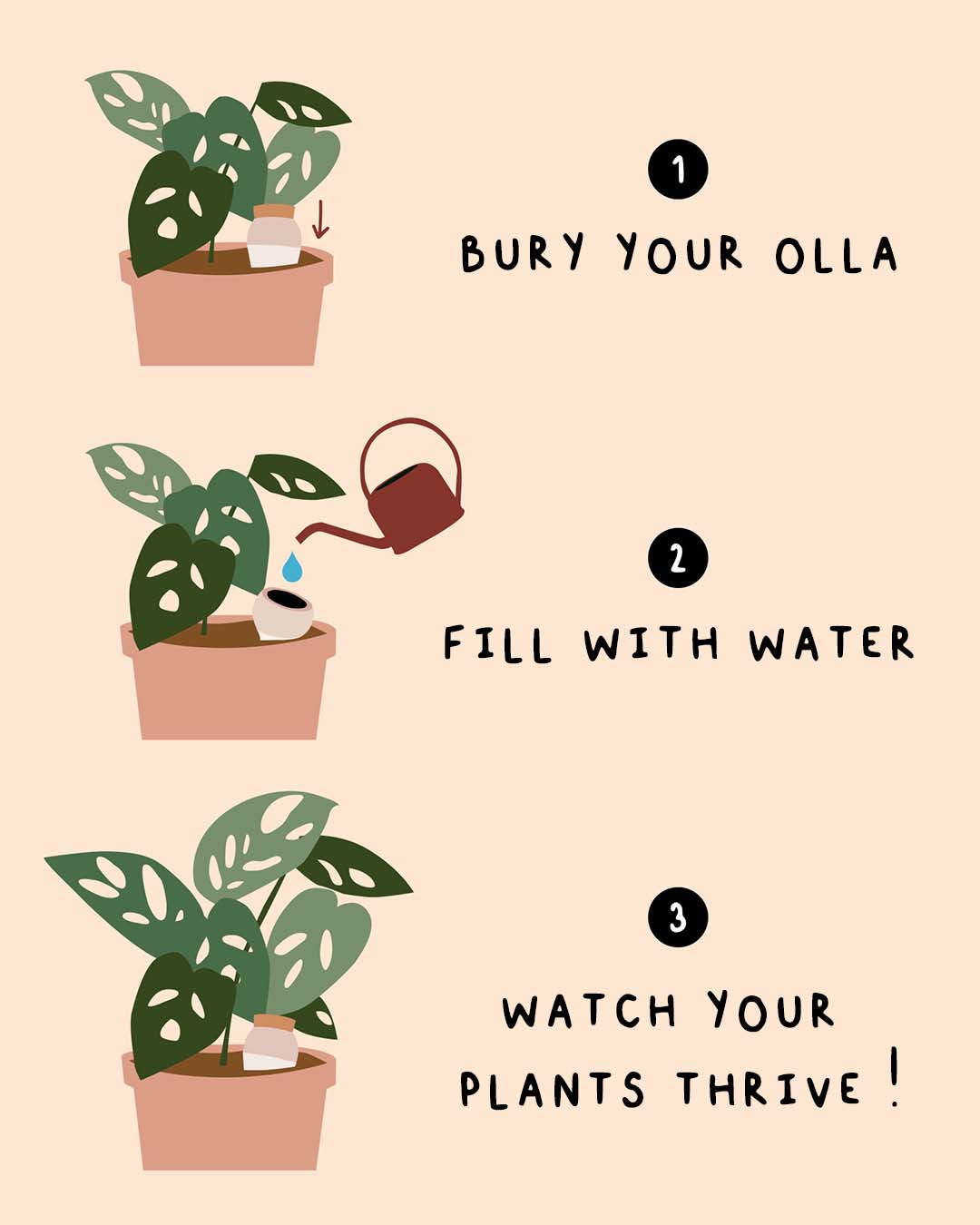 Hydrating Olla - Lilac