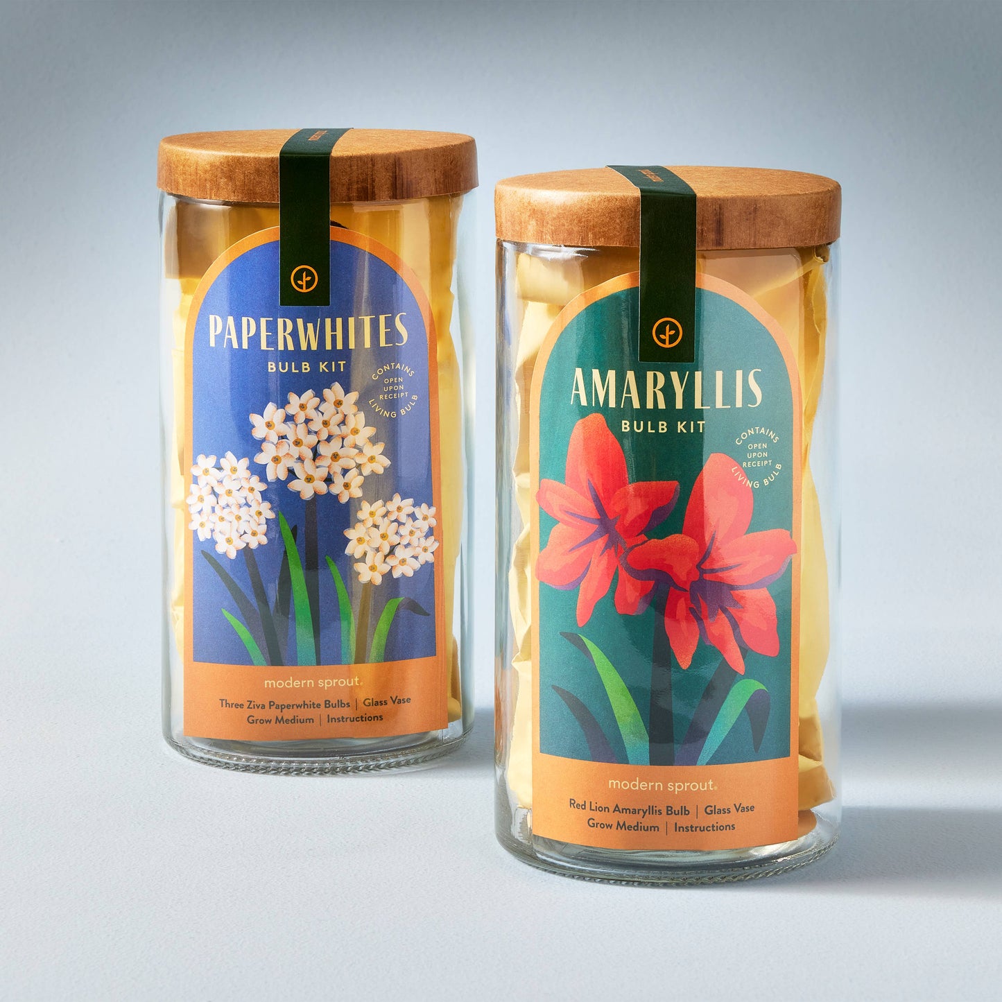 Winter Bulb Kit: Paperwhites