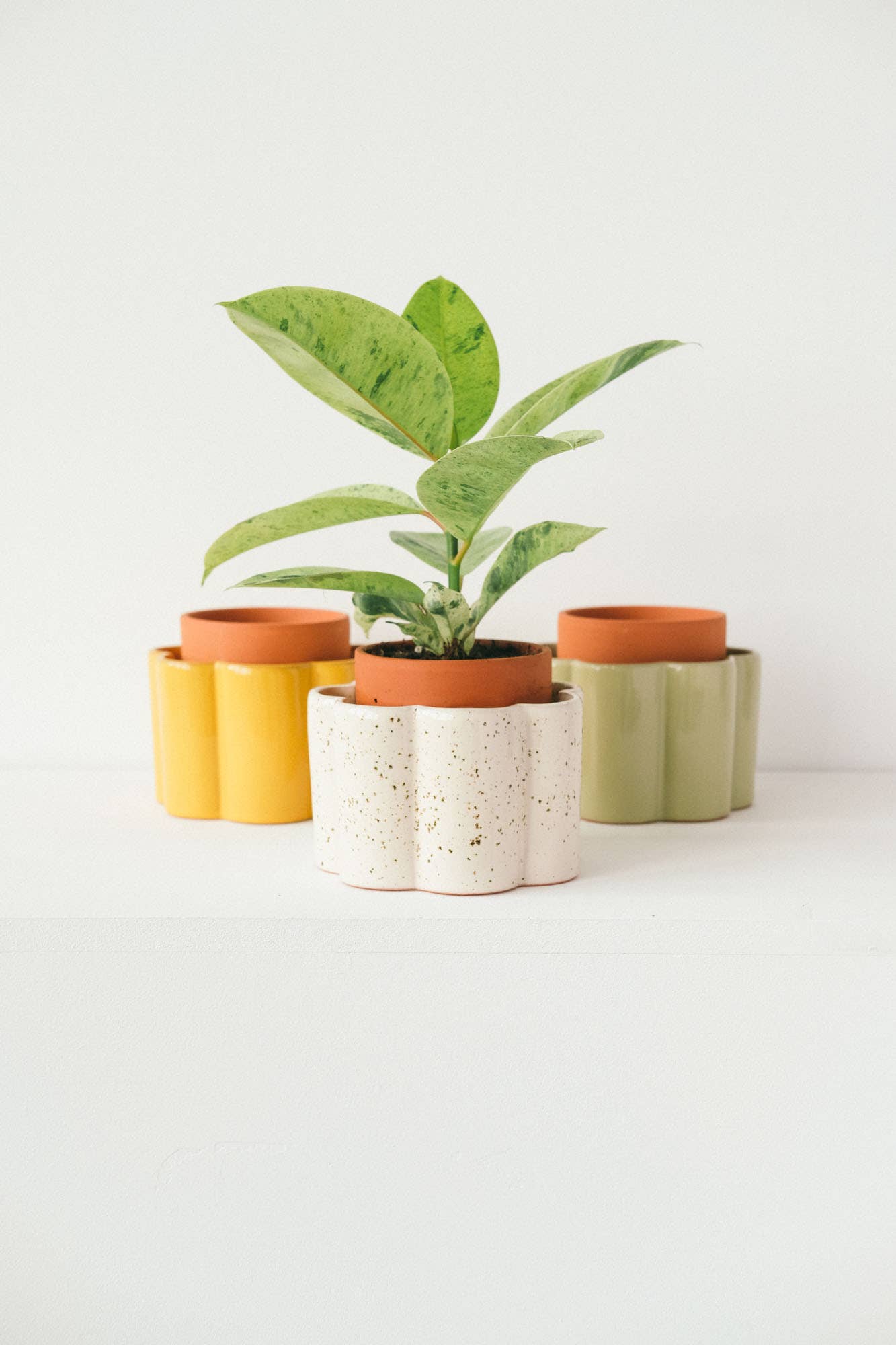 Self-watering pot Paula - Mustard yellow