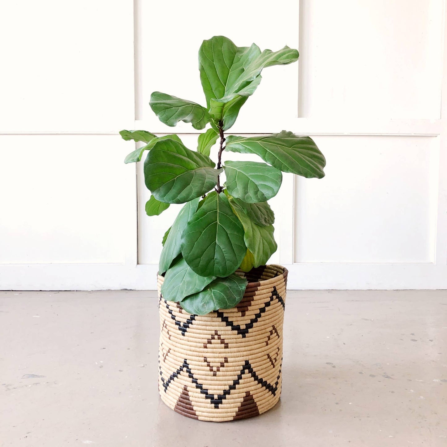 Storage Plant Basket: Ruzizi: 10" x 10"
