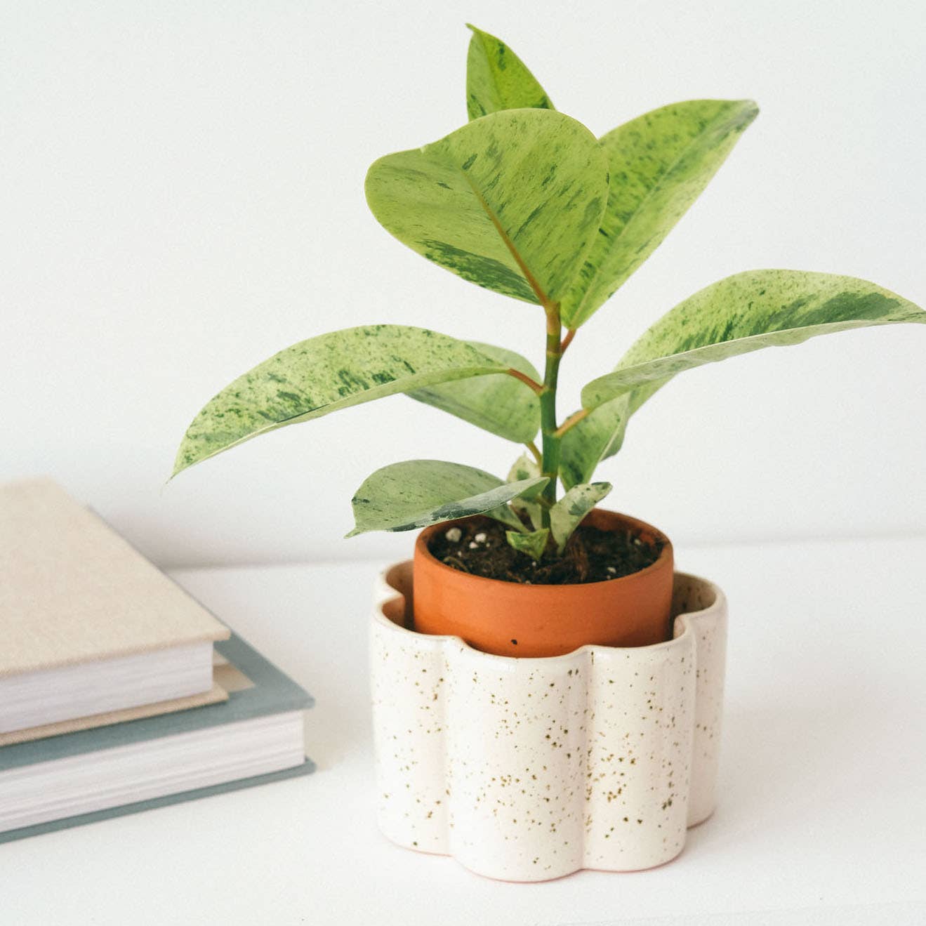 white speckled plant pot Self-watering pot Paula