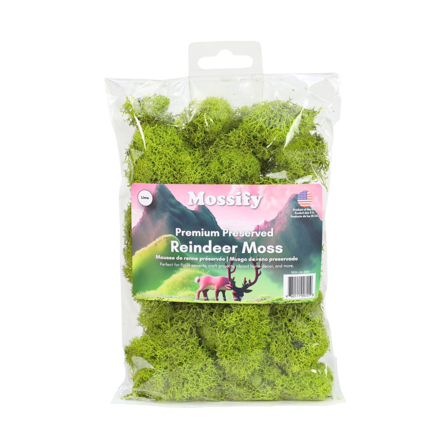 Premium Reindeer Moss - Small Bag: Kiwi