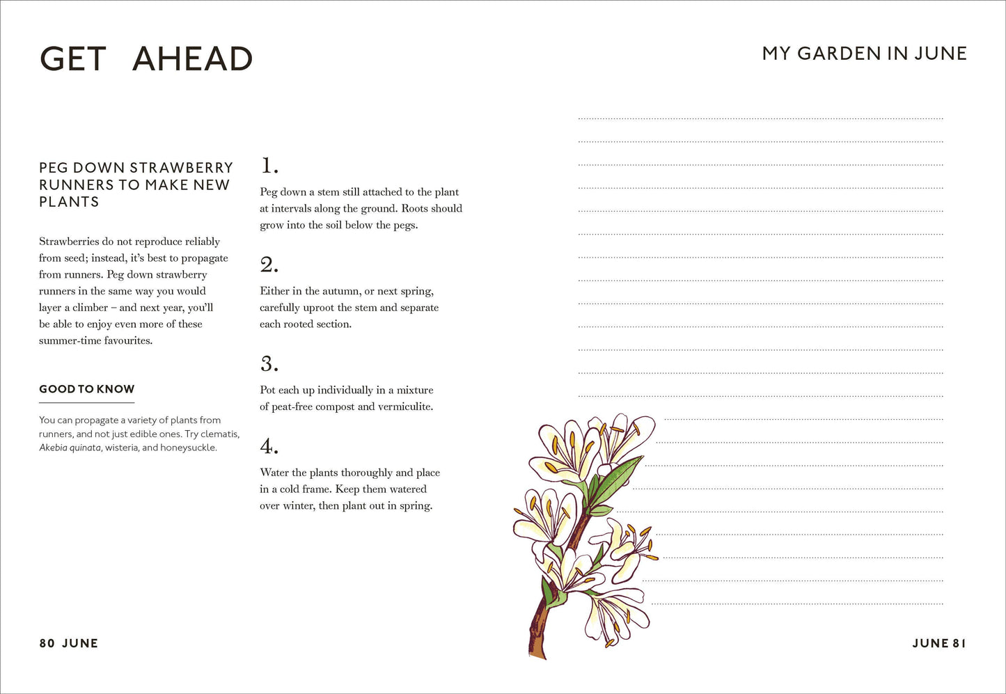 Your Gardening Year
