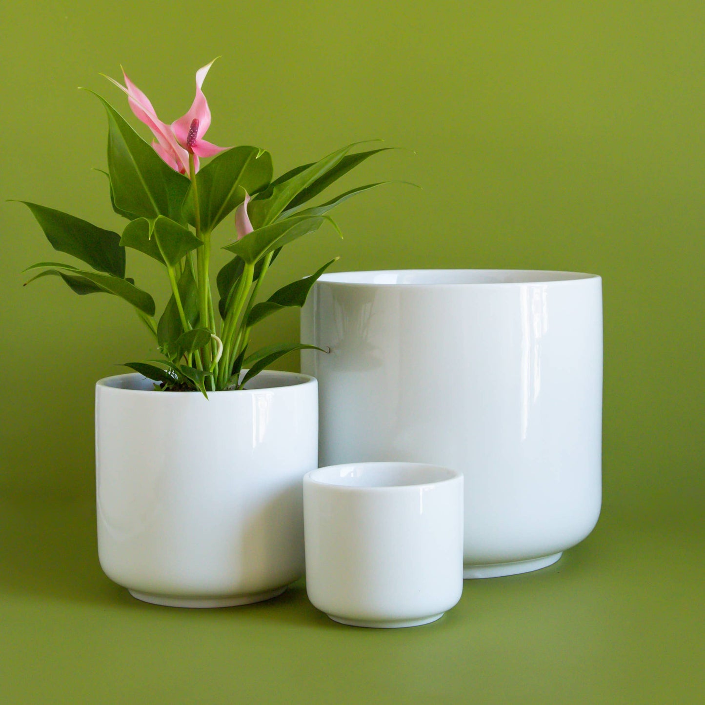 Charlie Planter | White : 6.75 inch