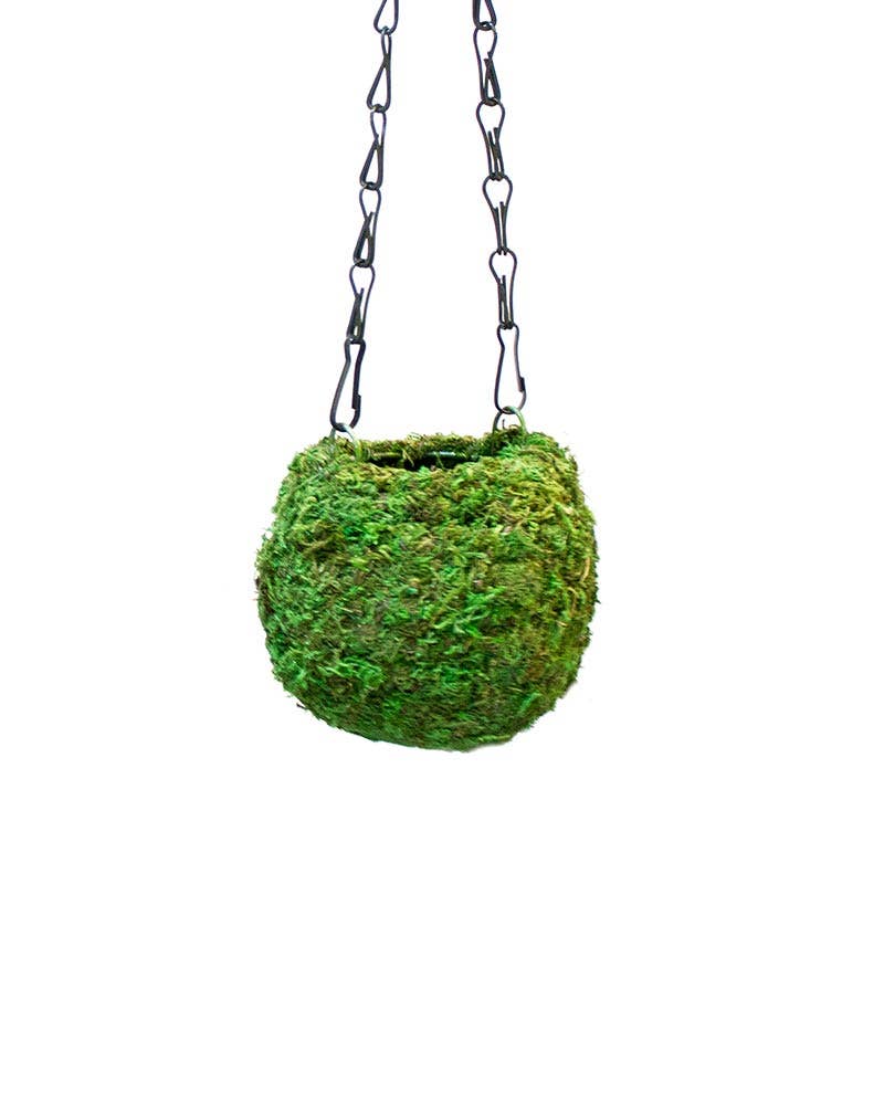 Kokedama, Fresh Green