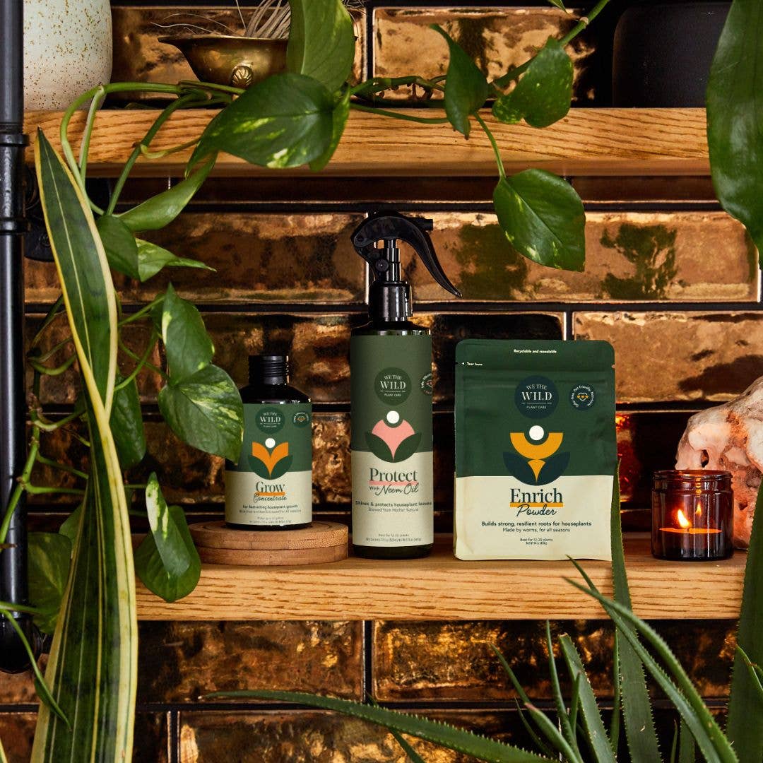 Holiday Plant Care Taster Kit