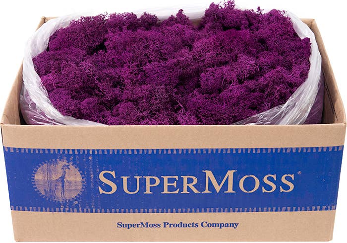 Reindeer Moss Preserved 3lb Bulk Box: Chartreuse