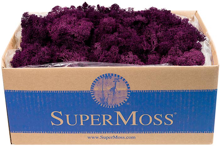 Reindeer Moss Preserved 3lb Bulk Box: Chartreuse