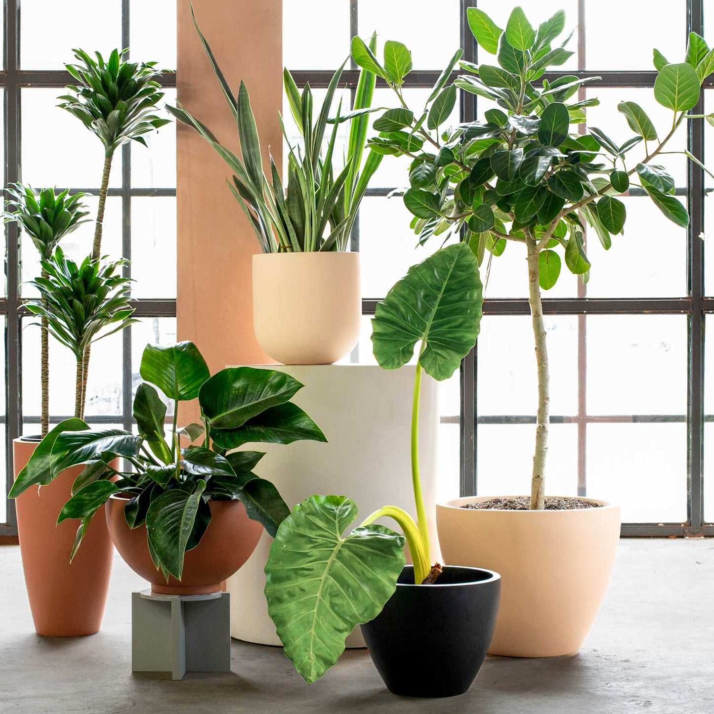 Wythe 30 Large Planter: Slate
