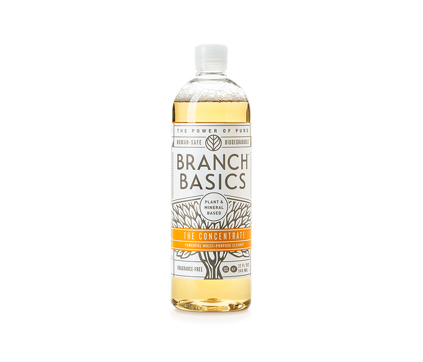 Branch Basics The Concentrate