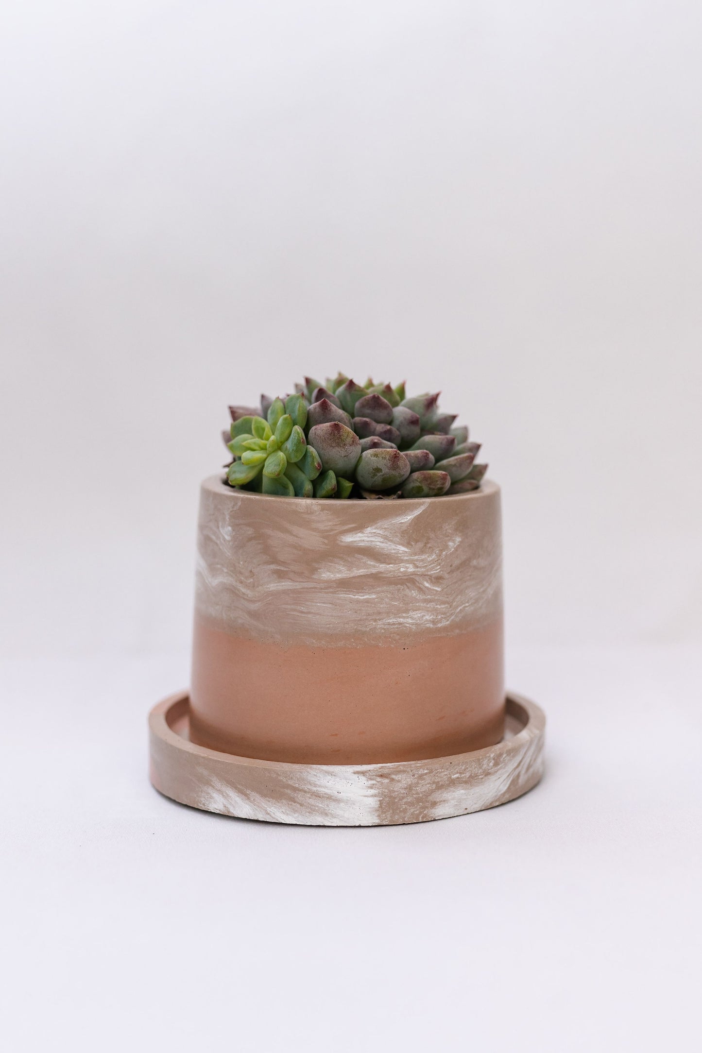 2.5" Round Planter (no plant)