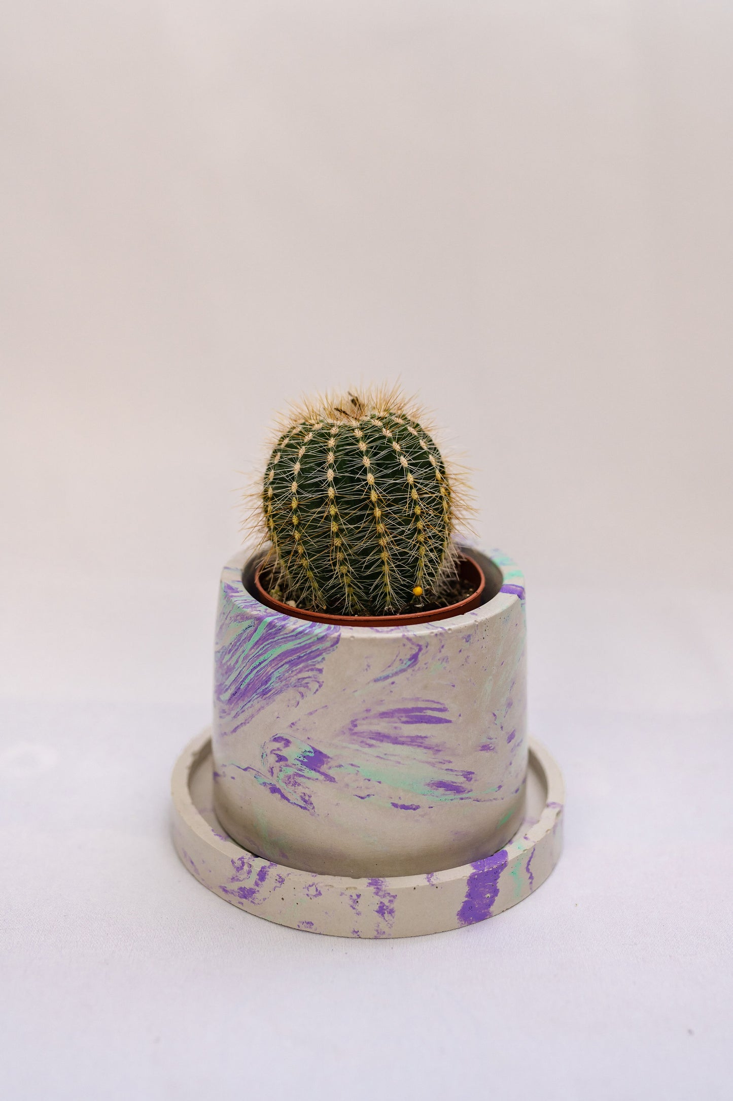 2.5" Round Planter (no plant)