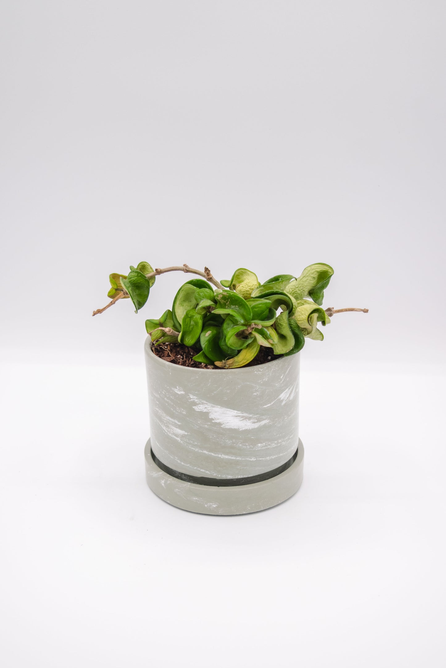 4" Stack Planter w/Drip Tray