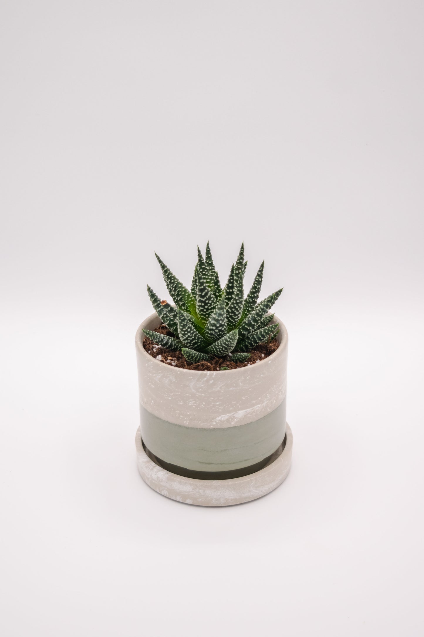 4" Stack Planter w/Drip Tray