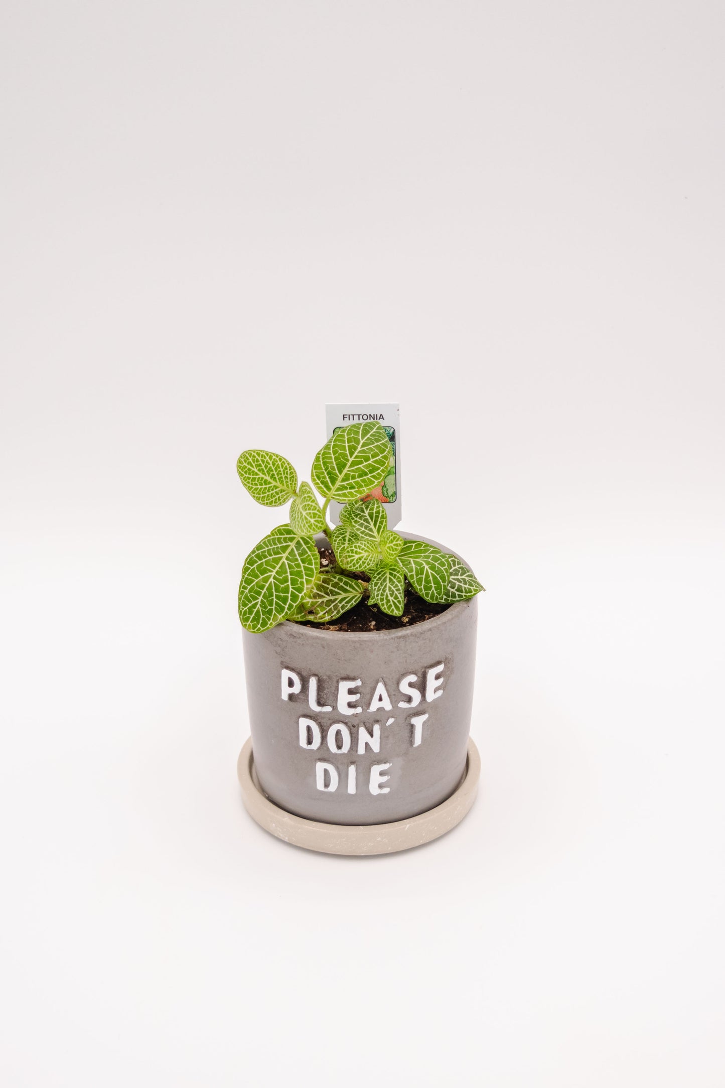 Please Don't Die Planter