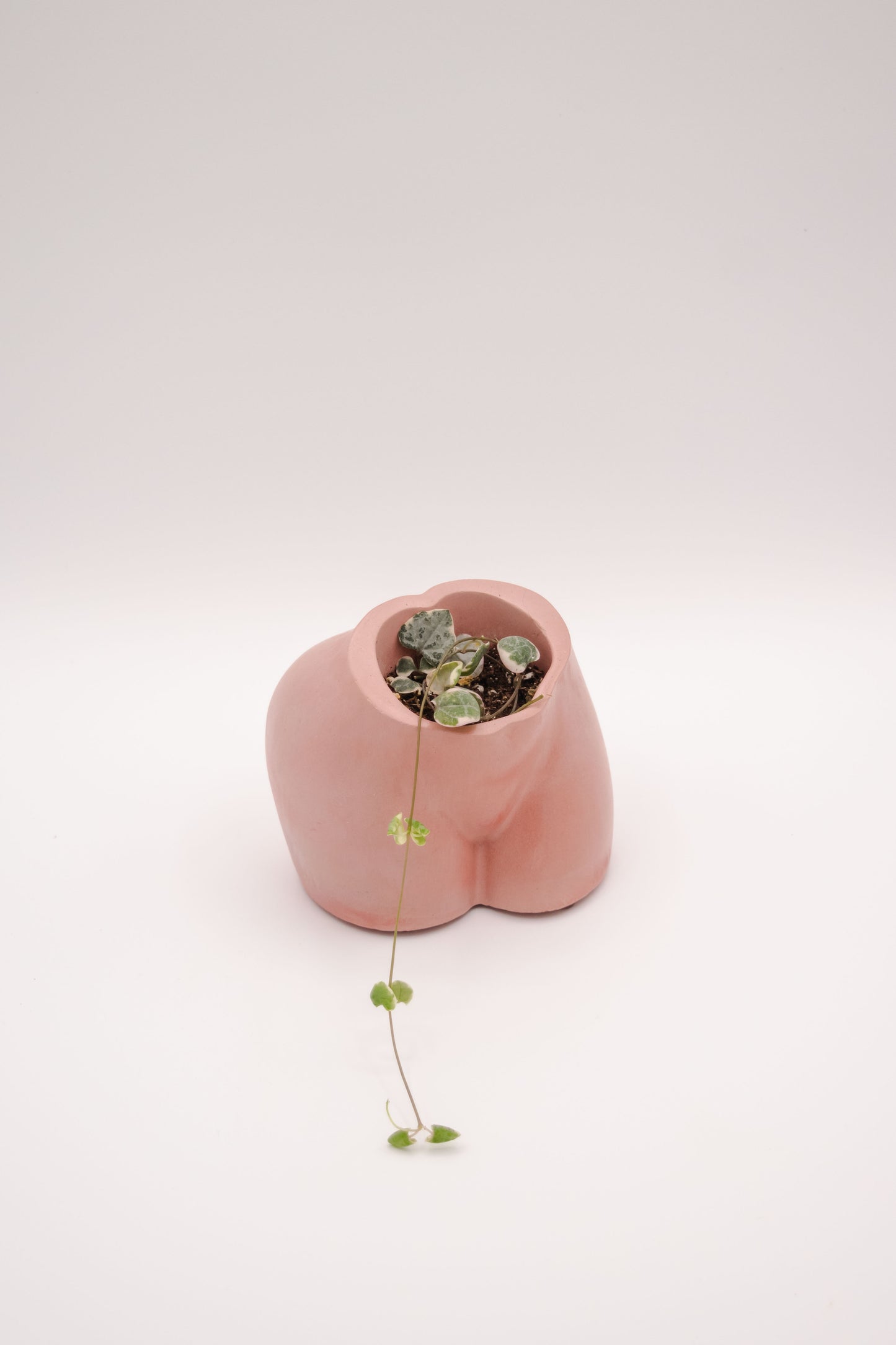 Tudi Planter