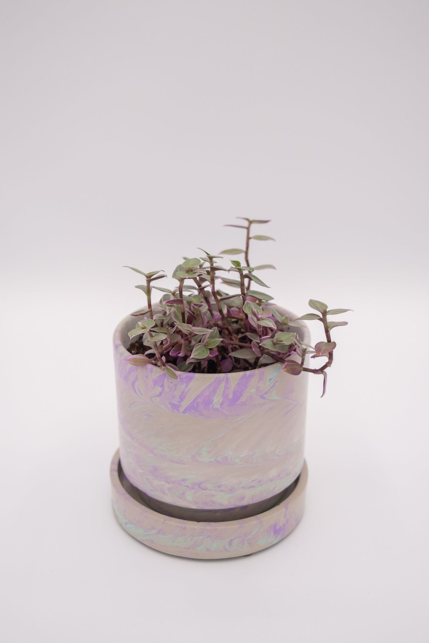 4" Stack Planter w/Drip Tray