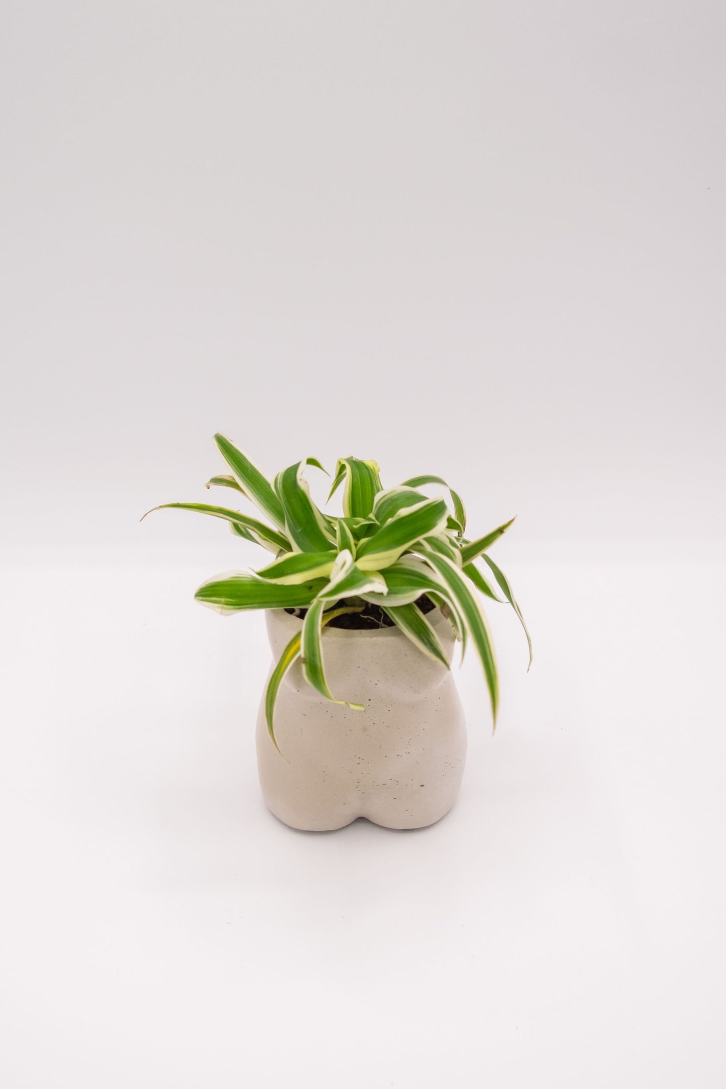 Body Planter