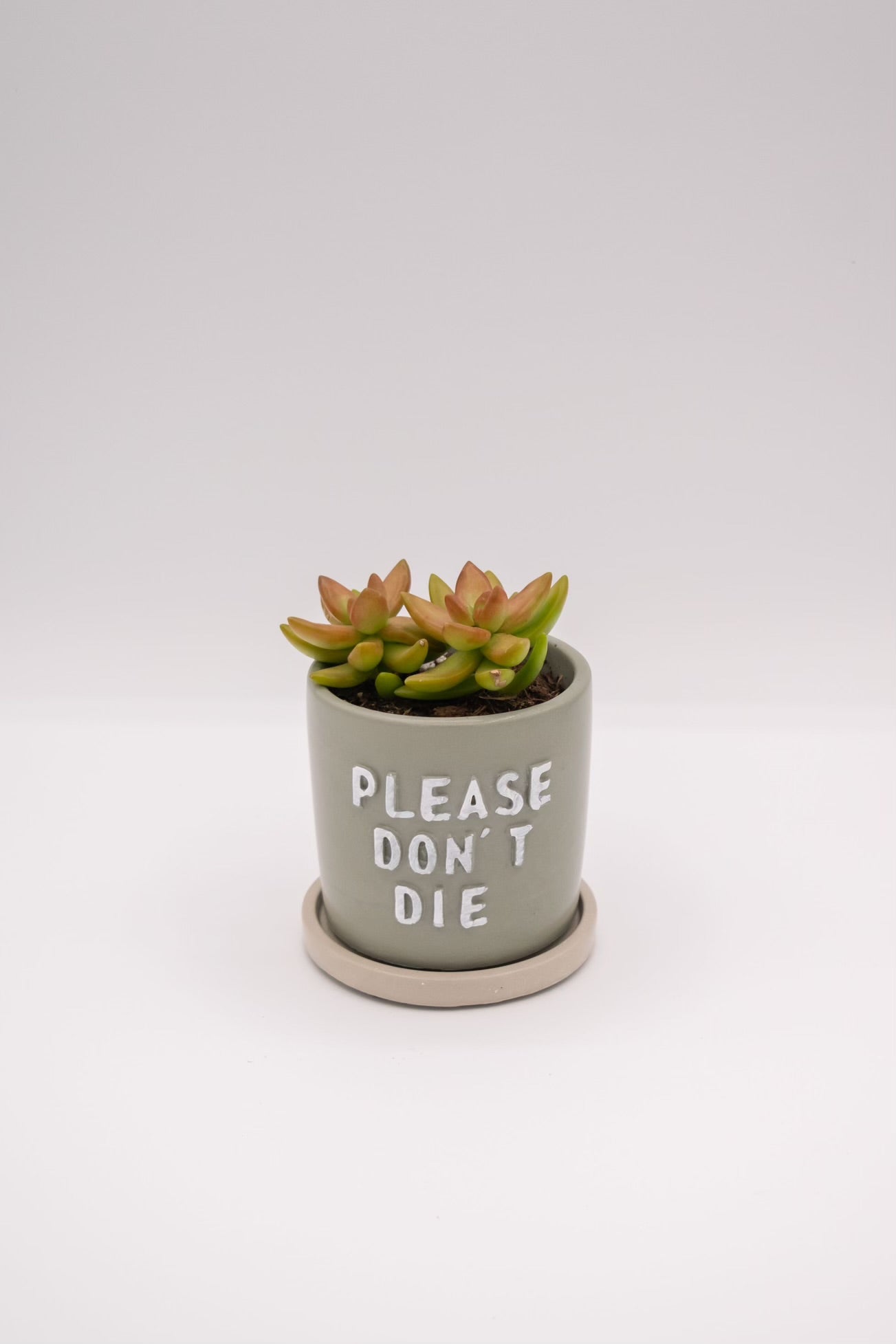 Please Don't Die Planter