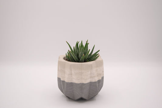 Stricky Planter