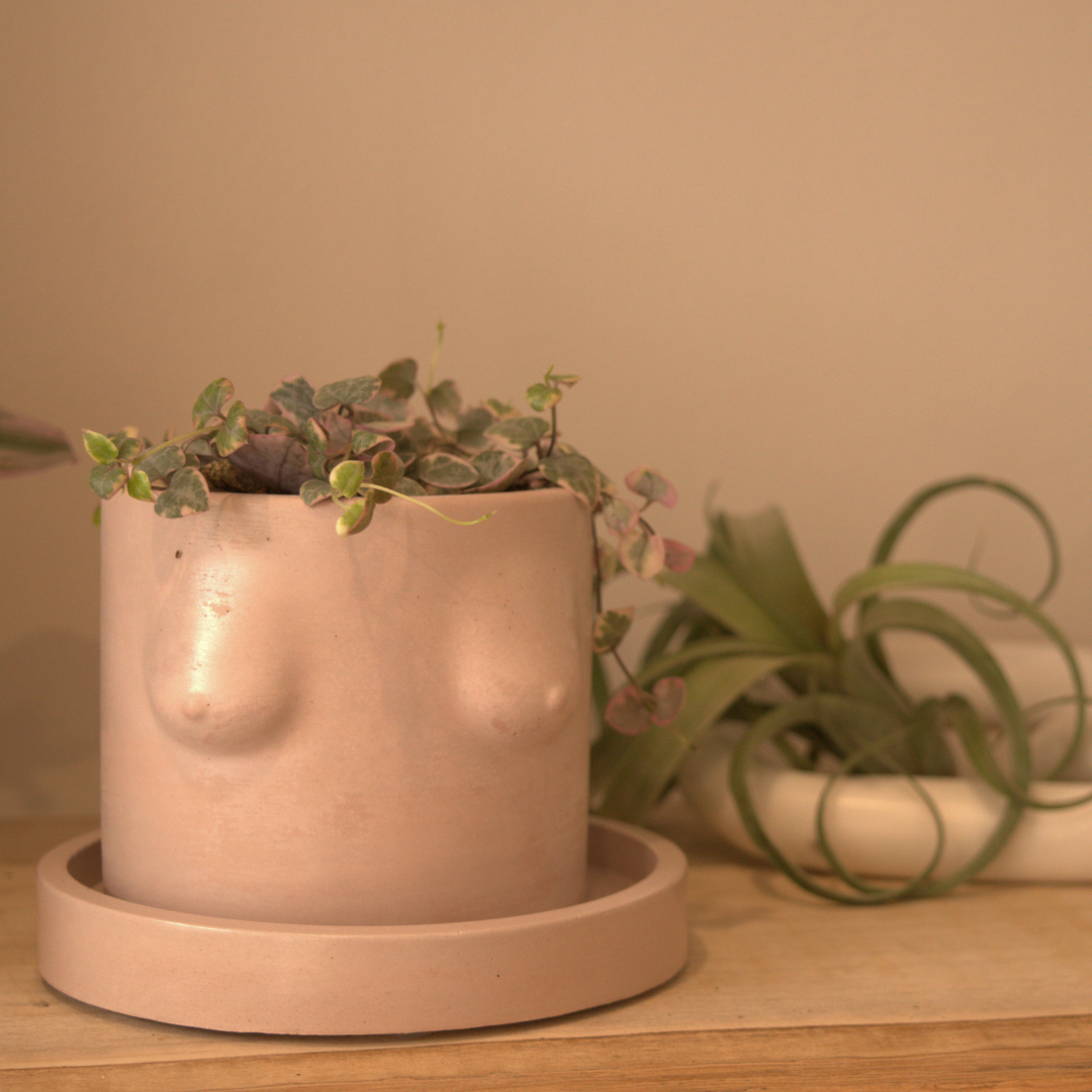Boobie Planter