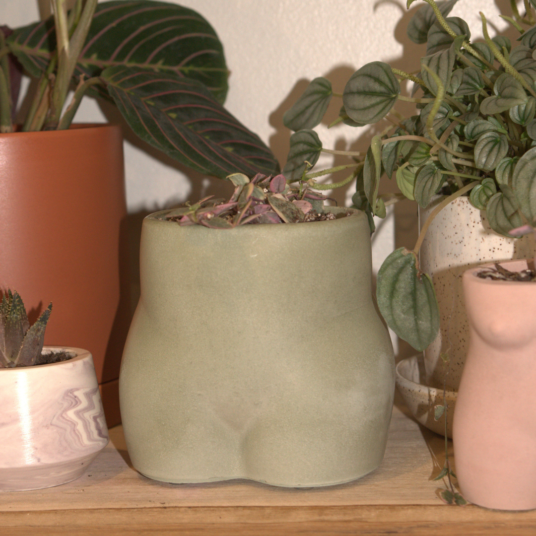 Judy Planter