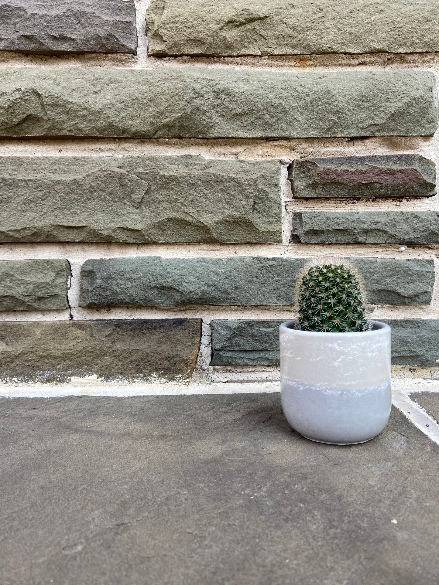 3.5" Tulip Planter