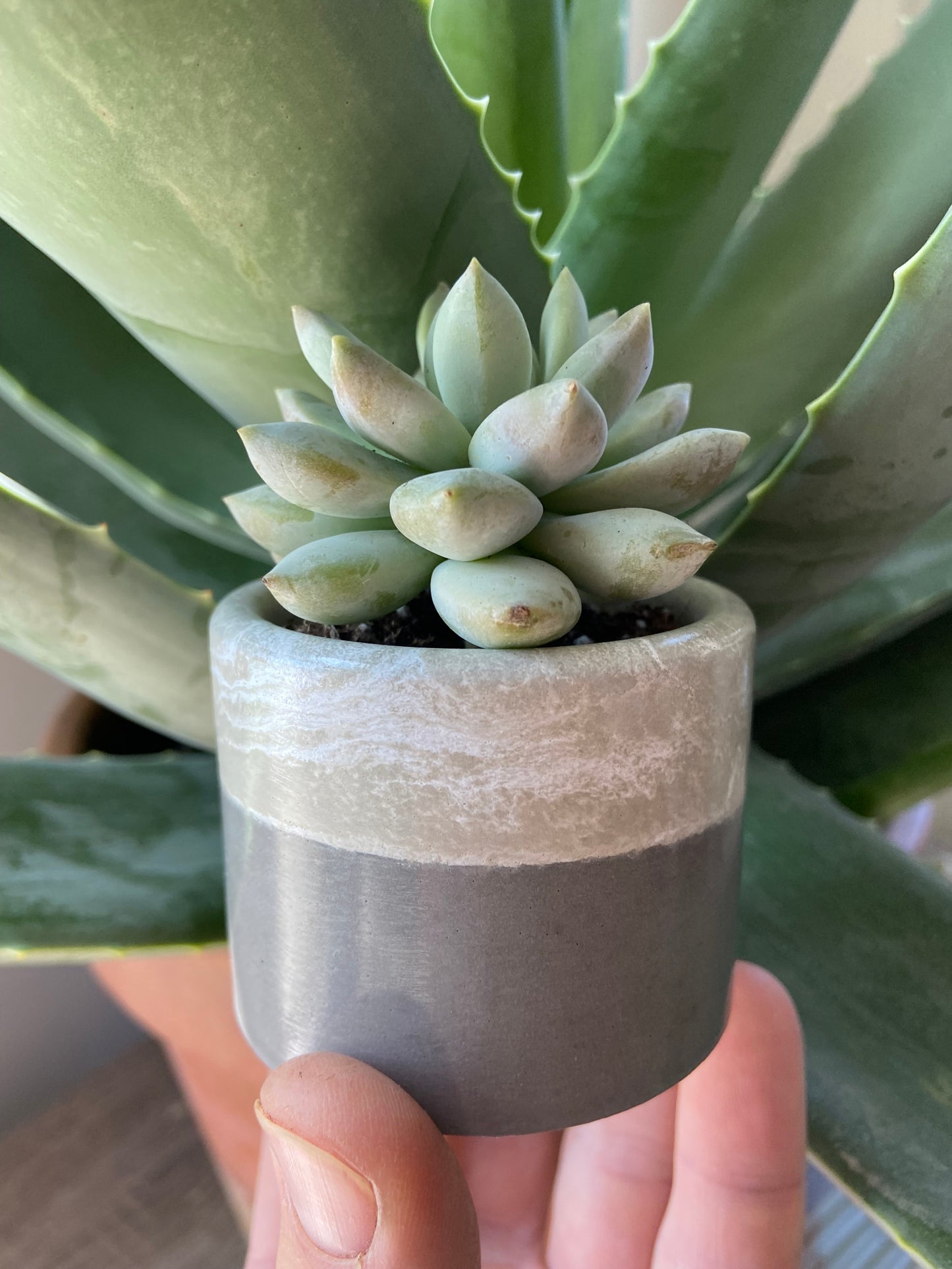 2" Planter