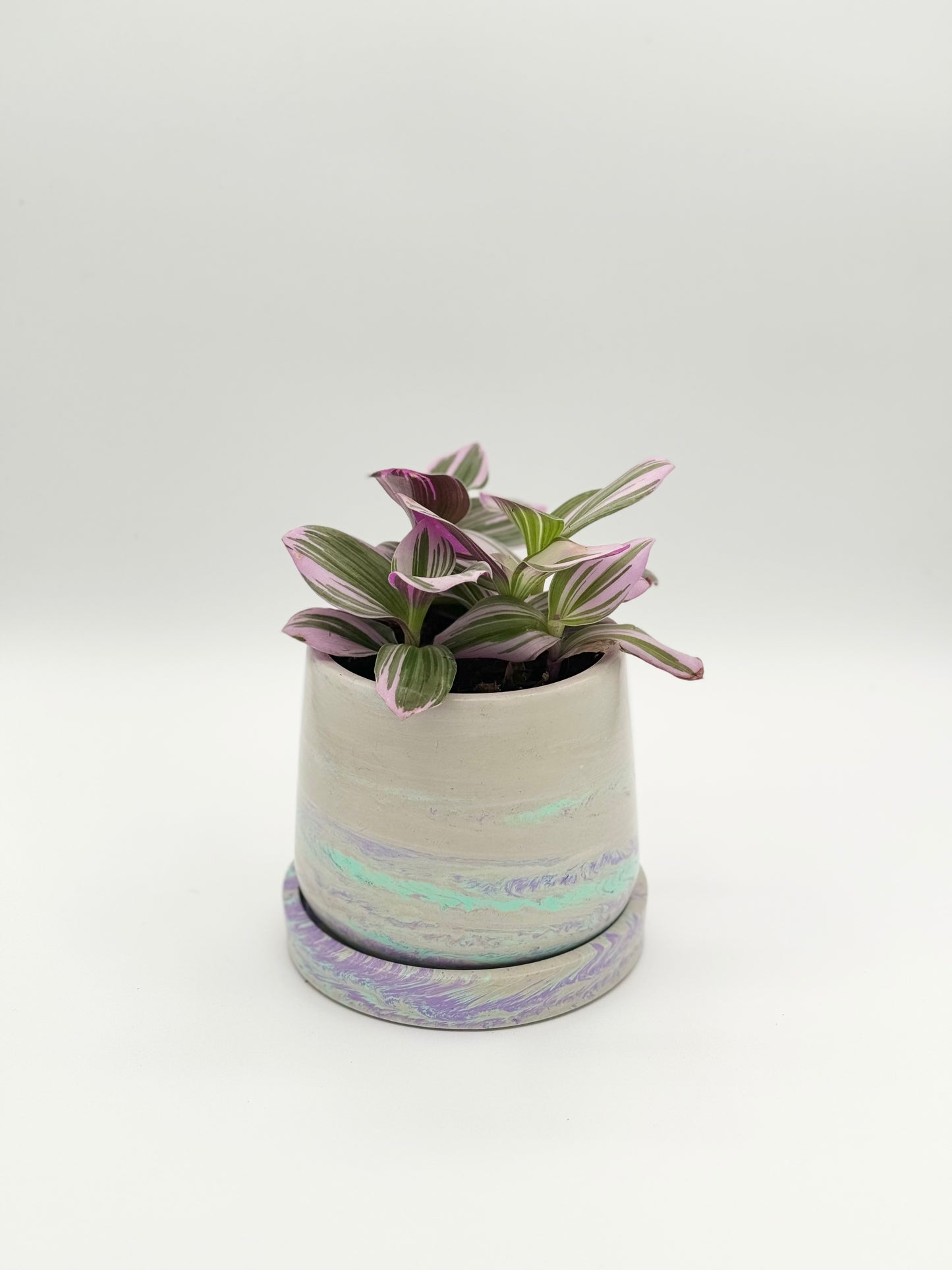 4" Bulbous Planter