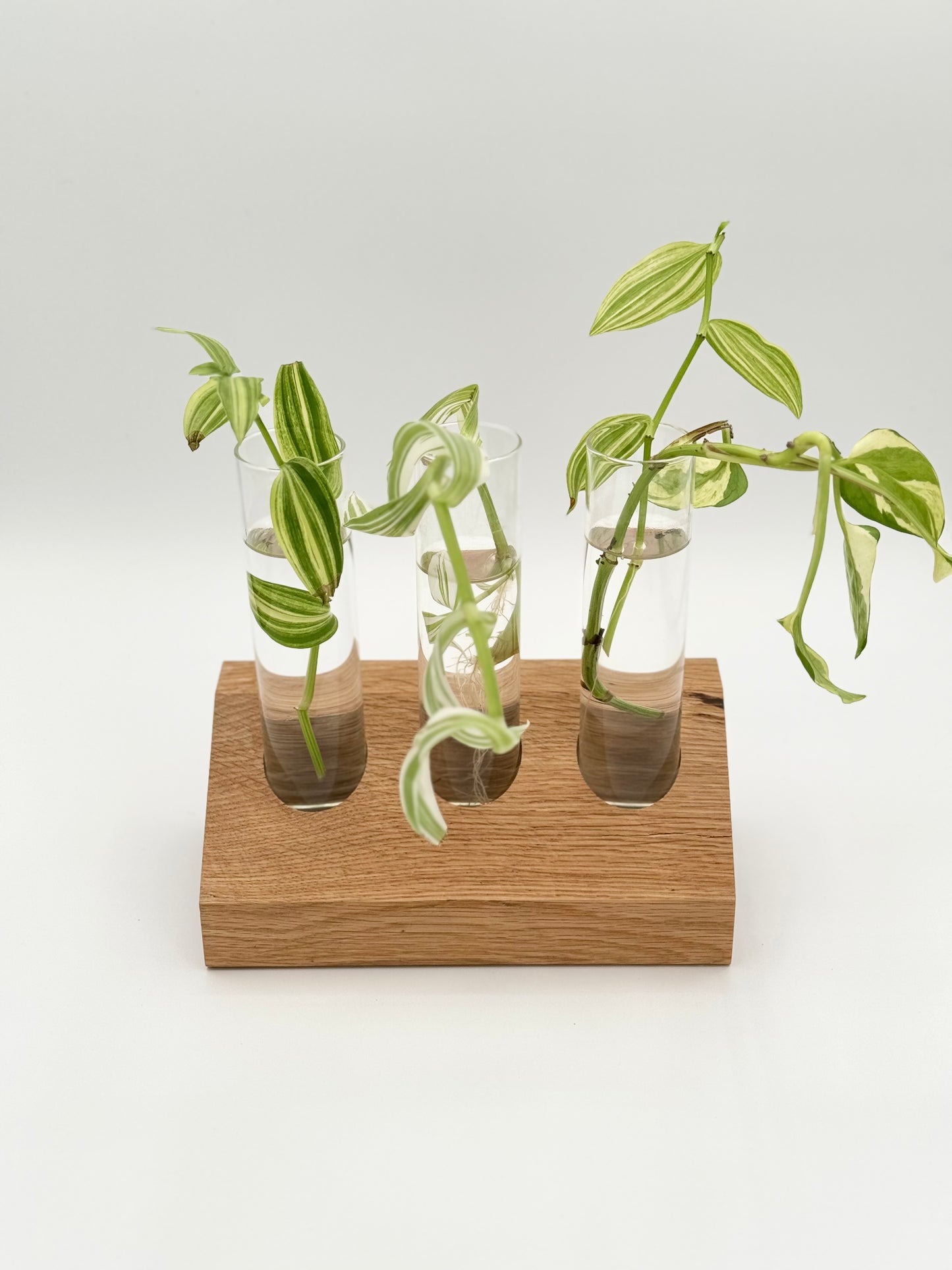 Handmade Wood Block Propagation Station