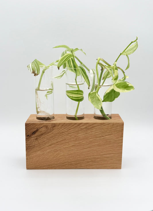 Handmade Wood Block Propagation Station