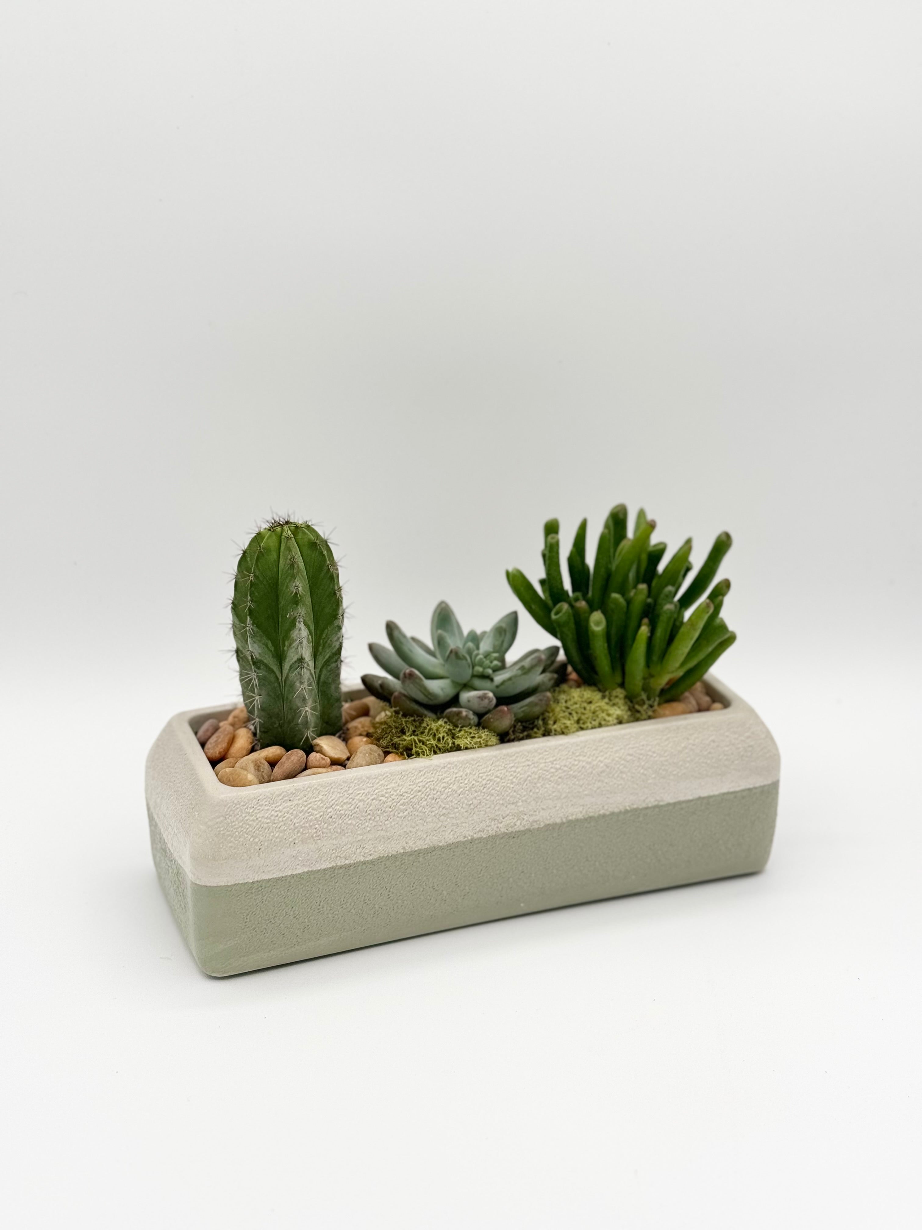 large rectangular succulent planter Rectangle Succulent Planter – The Green House