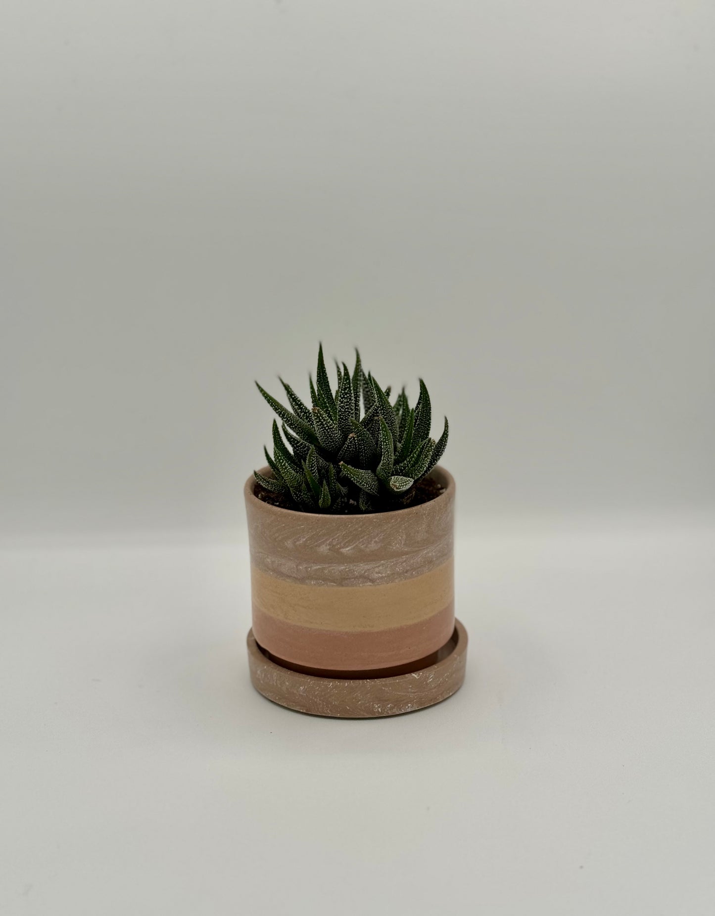 4" Stack Planter w/Drip Tray