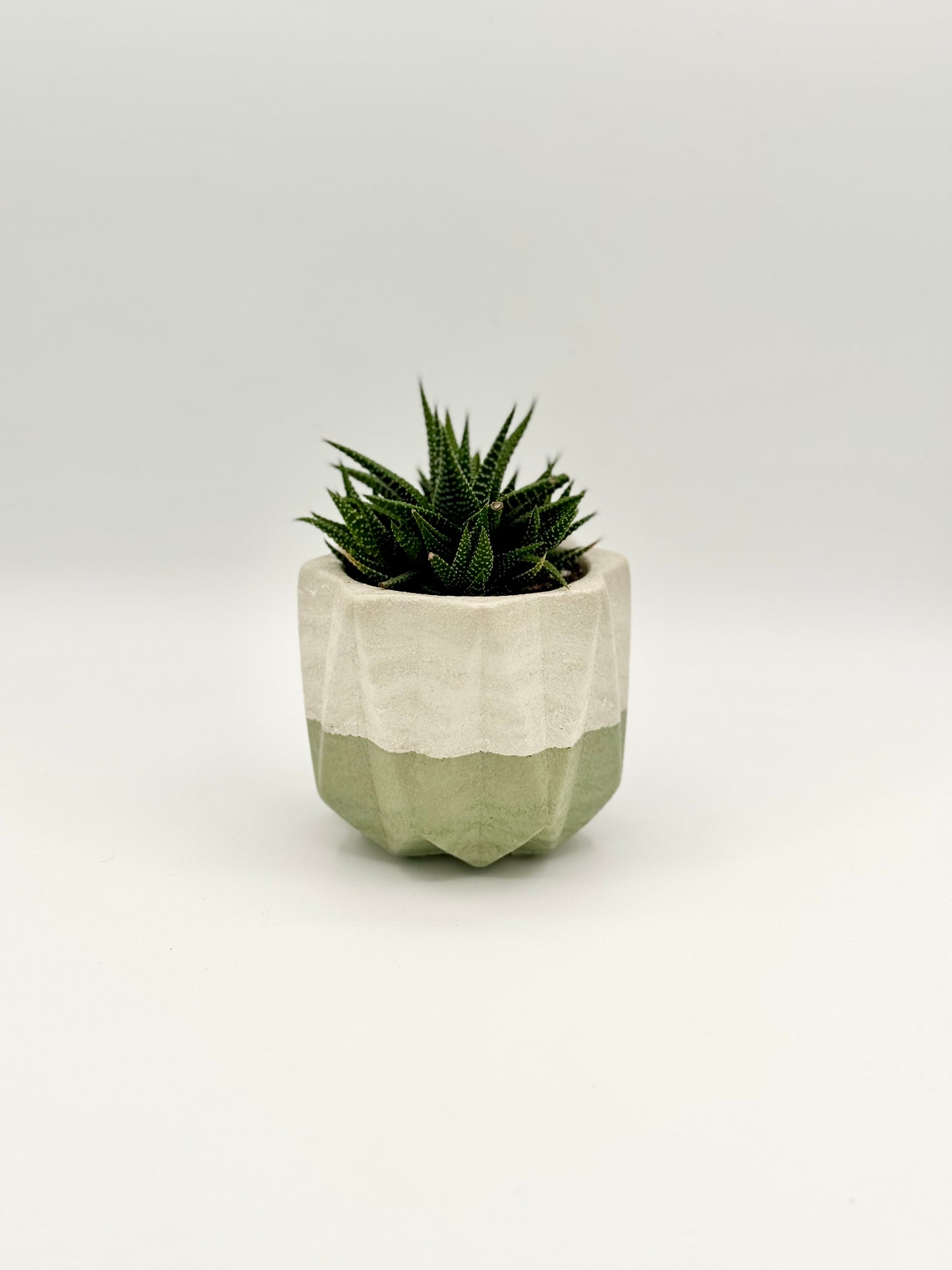 Stricky Planter