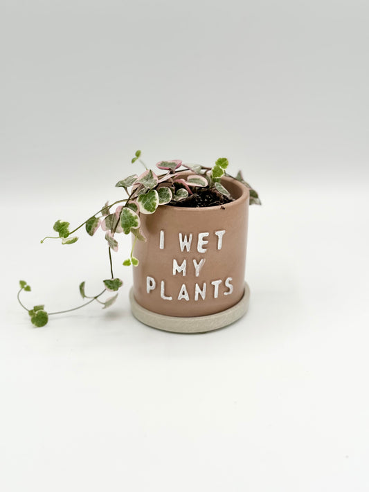 I Wet My Plants Planter