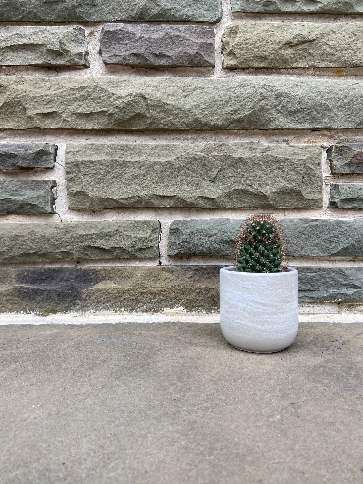 3.5" Tulip Planter