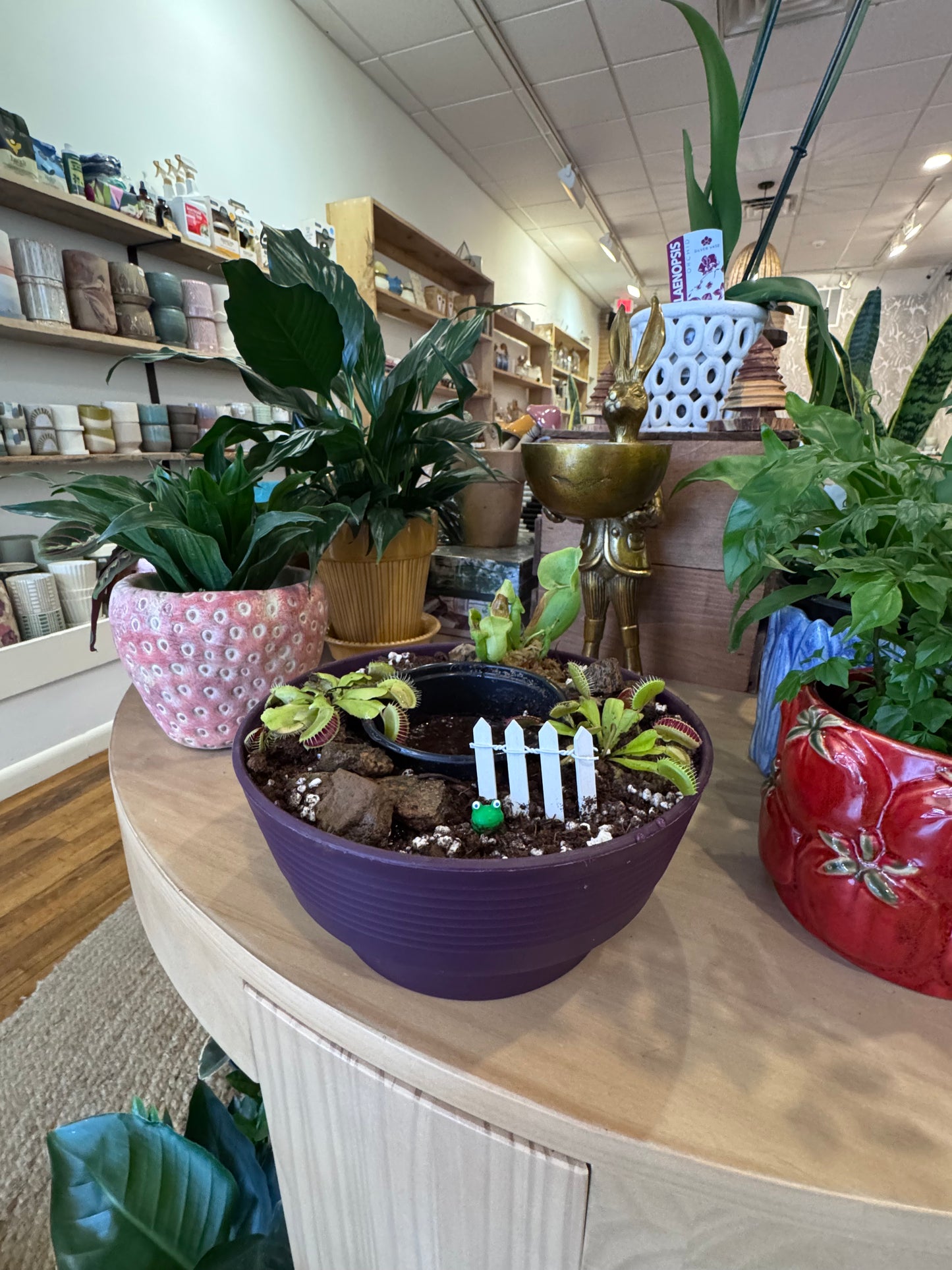 Bog Garden Workshop