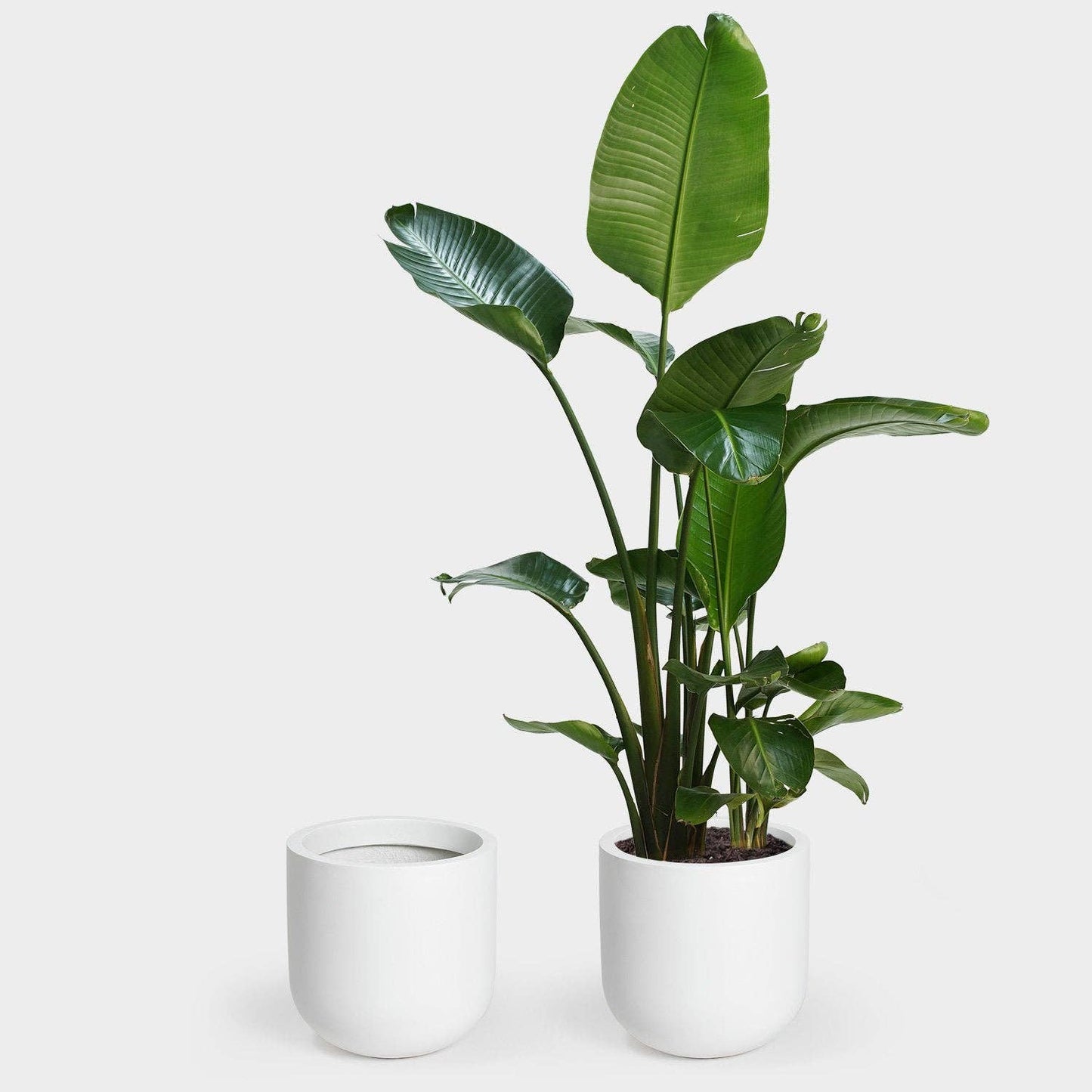 Wythe 30 Large Planter: Slate