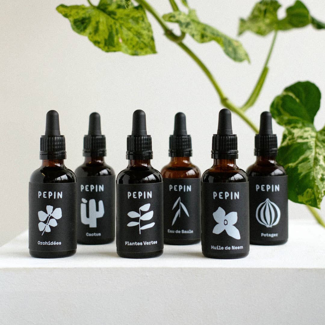 Houseplant Serum