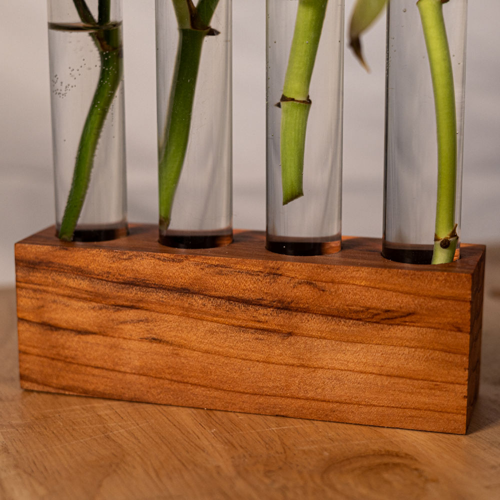 Handmade Propagation Station: Ethically Sourced Redwood