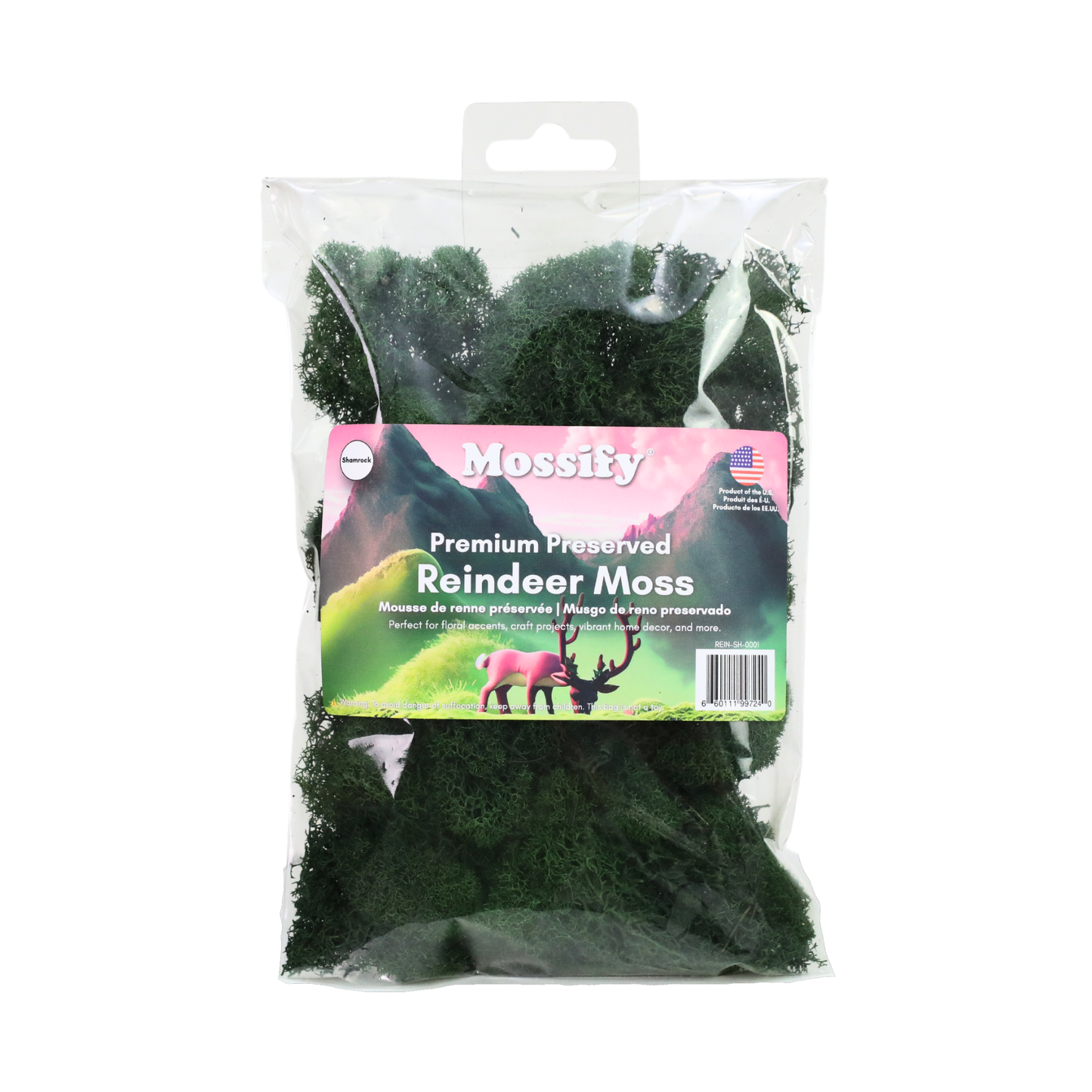 Premium Reindeer Moss - Small Bag: Kiwi
