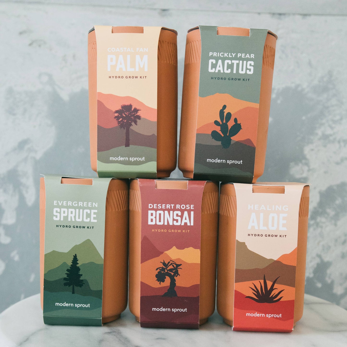 Terracotta Grow Kit: Desert Rose Bonsai
