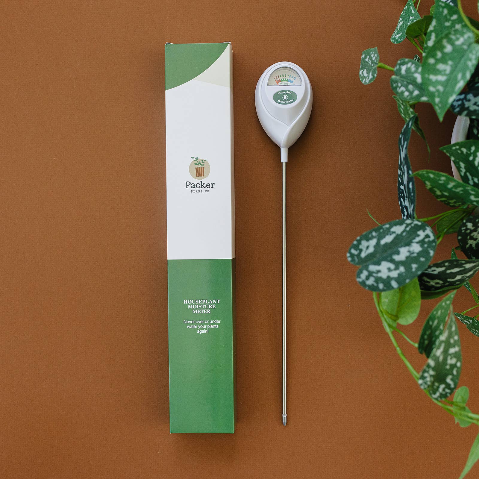 house plant water meter XL Plant Moisture Meter | Houseplant Tool