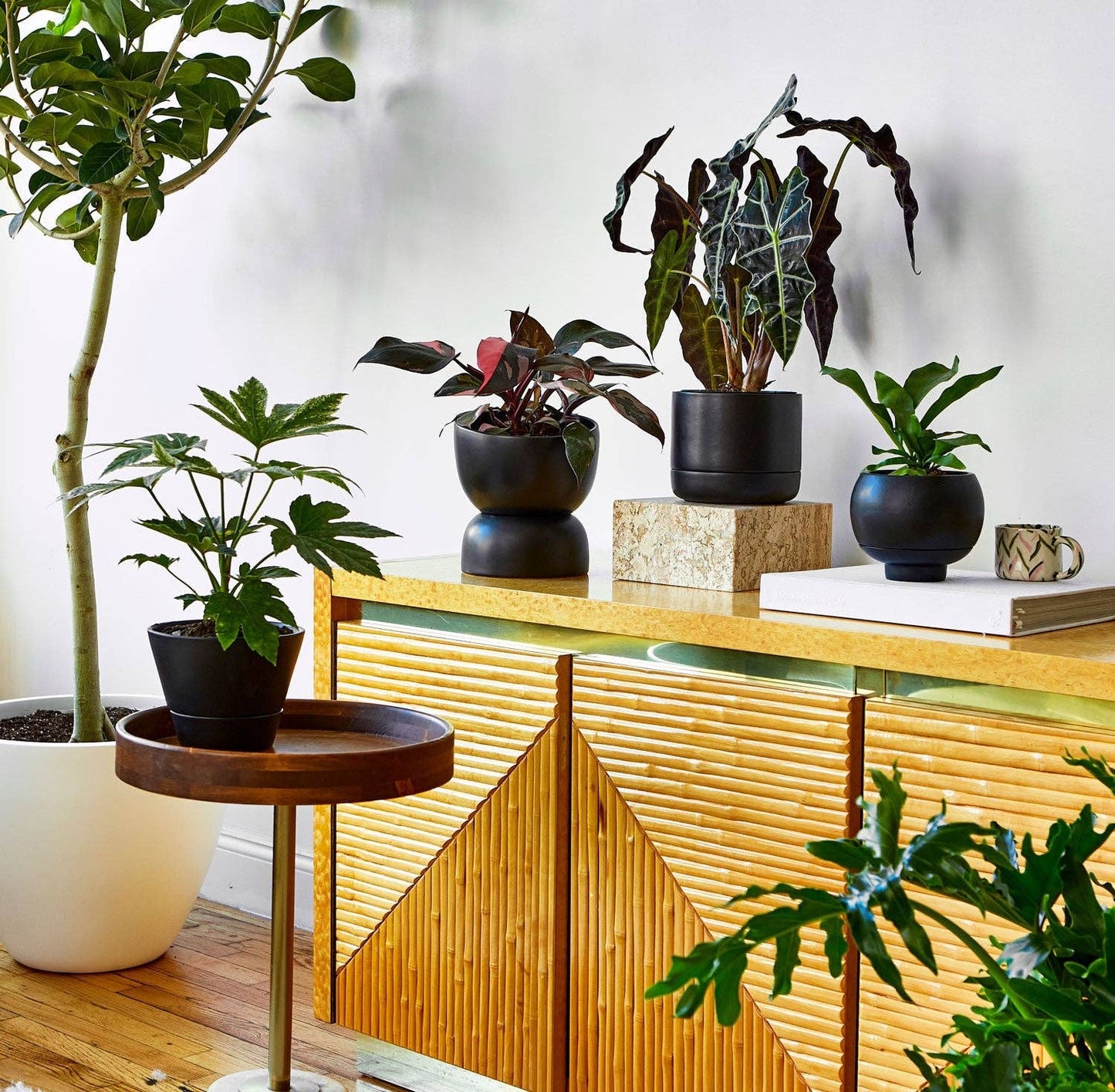 Sutton 15 Ceramic Self Watering Pot: White Dolomite