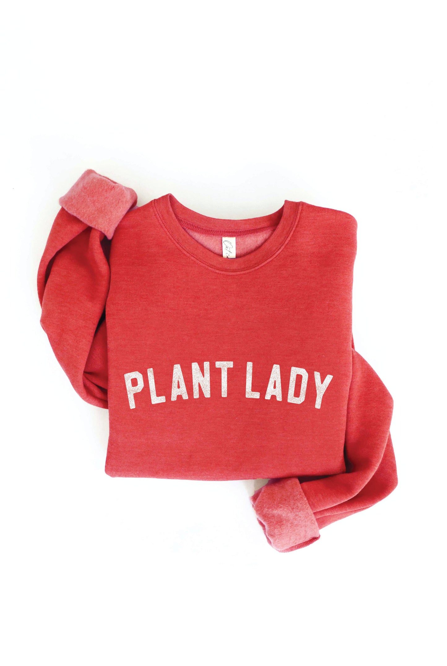 PLANT LADY Print Graphic Sweatshirt: MAUVE / XL