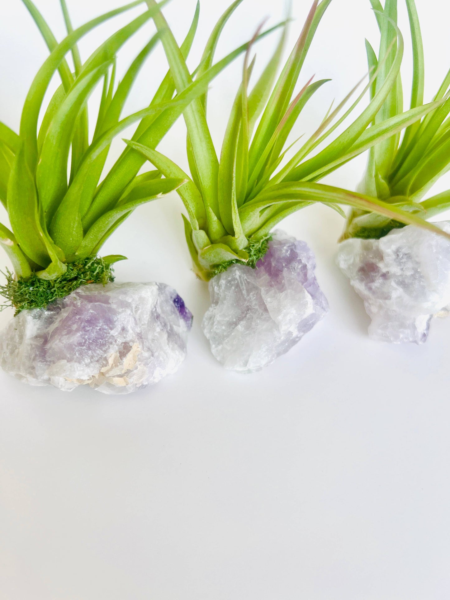 Crystal Air Plants l Air Plant Holder l Crystal Gift: Amazonite