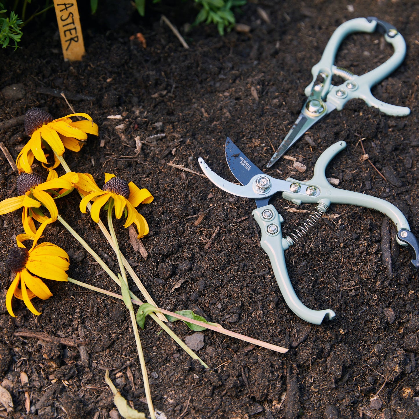 Garden Shears