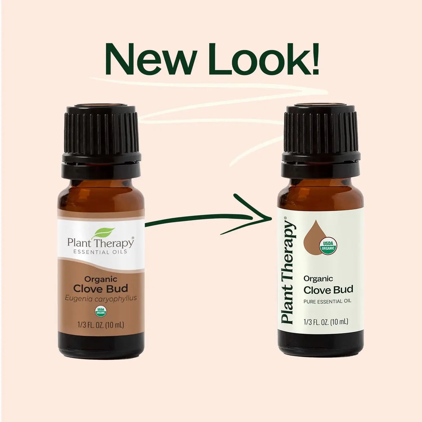 Organic Clove Bud Essential Oil 10 mL